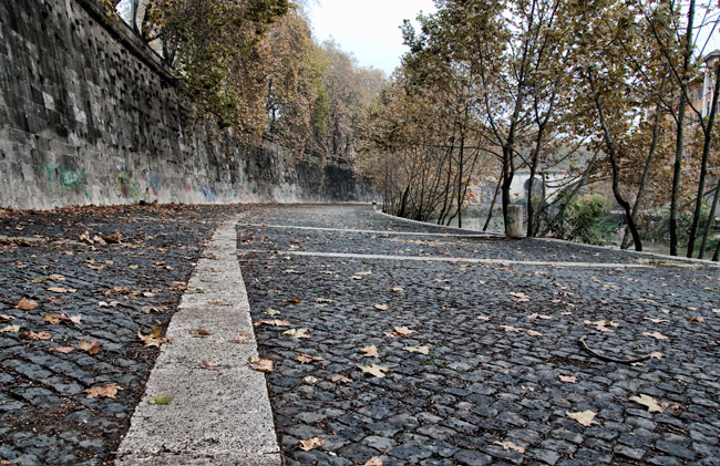 Fall 2008
