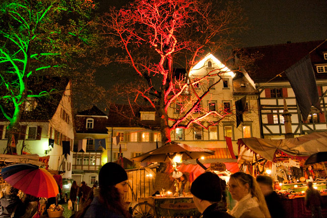 Fall 2008