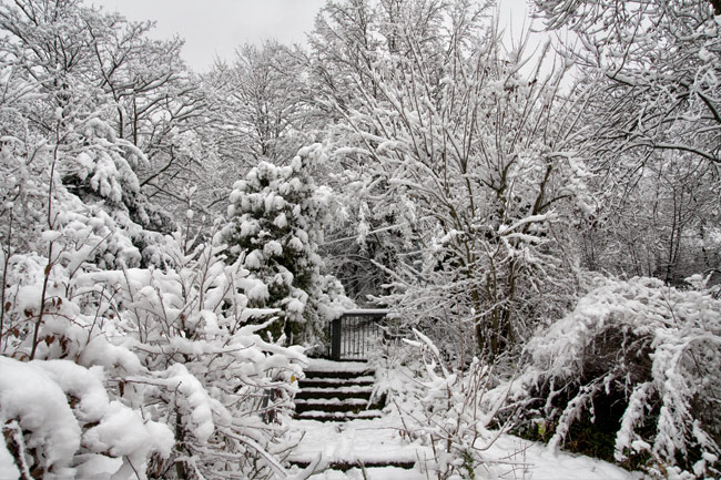 Fall 2008