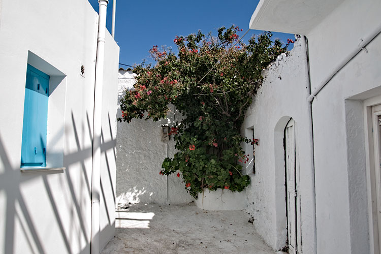 fall 2009