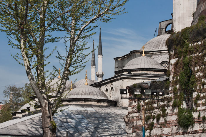 spring 2009