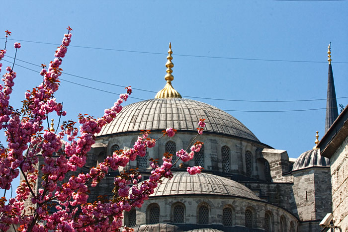 spring 2009