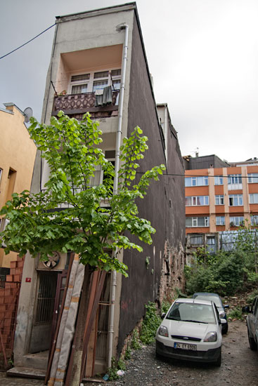 Spring 2009
