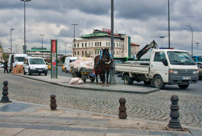 Spring 2009