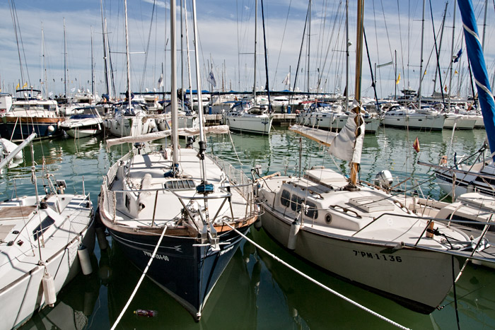Spring 2009