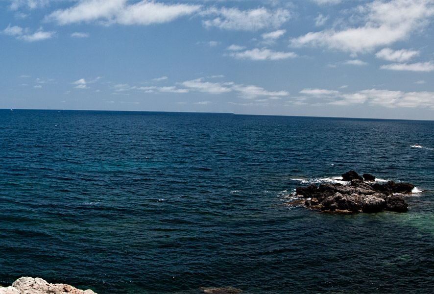 Spring 2009