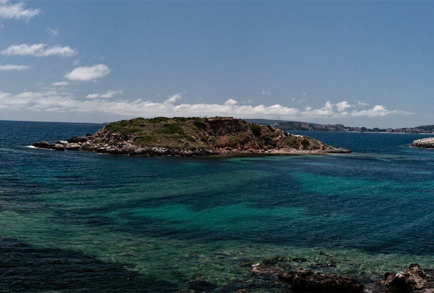 Spring 2009