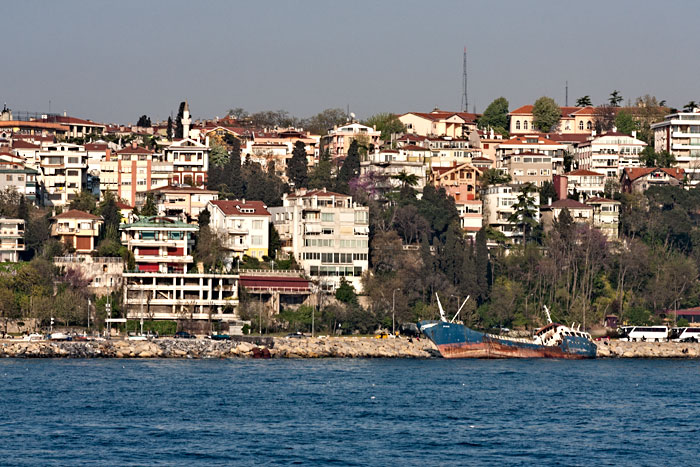 spring 2009