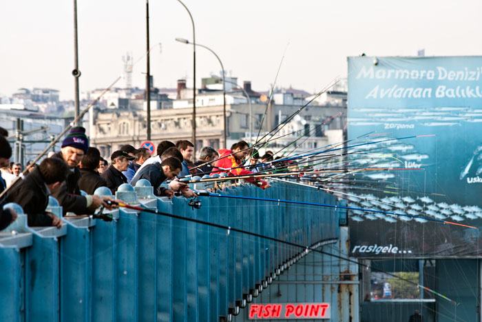 spring 2009