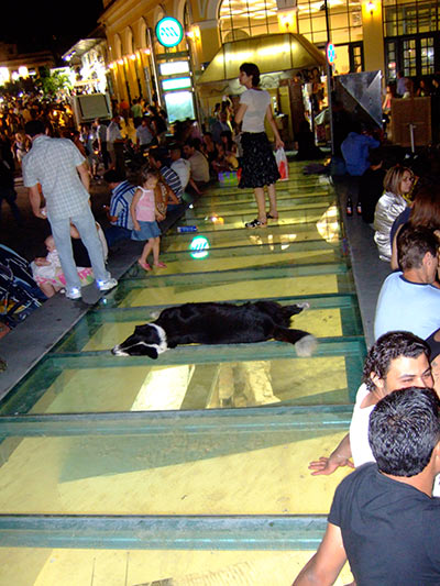 Summer 2007