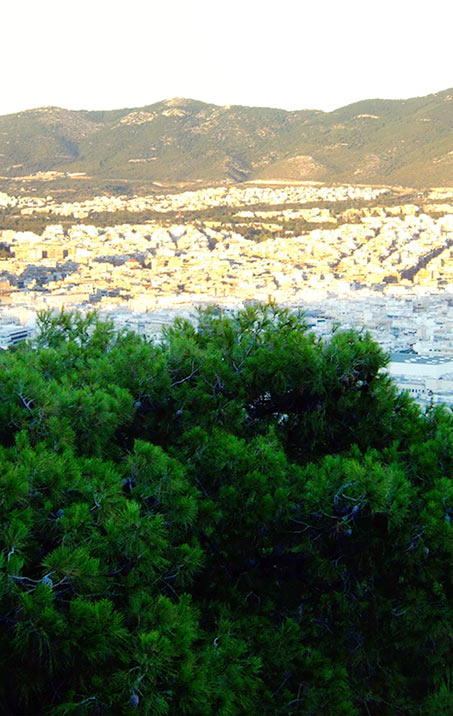 Summer 2007