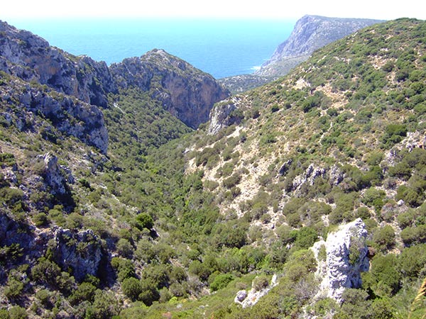summer 2007