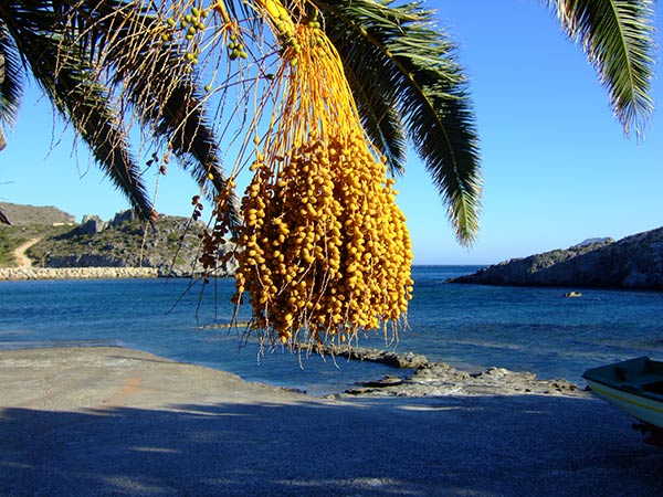 summer 2007 
