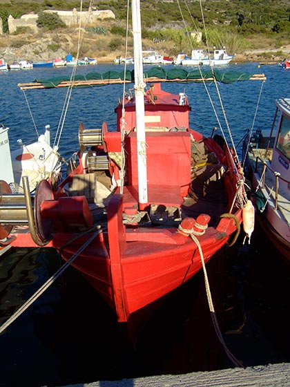 summer 2007 