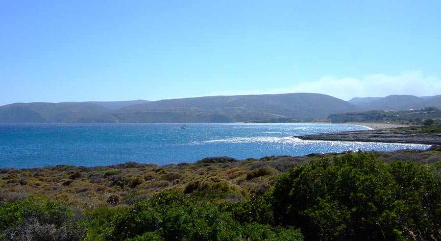summer 2007