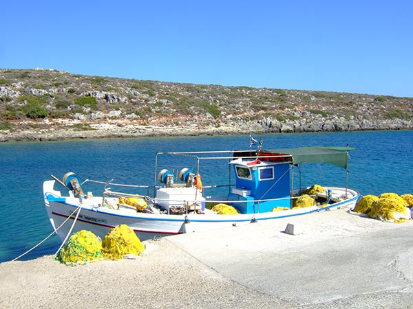 summer 2007