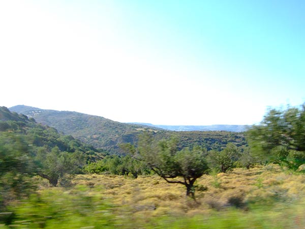 summer 2007