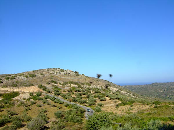 summer 2007