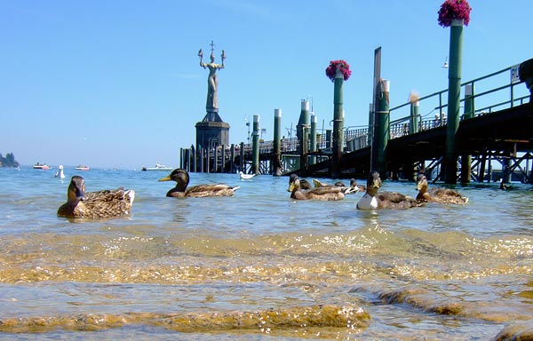 summer 2007