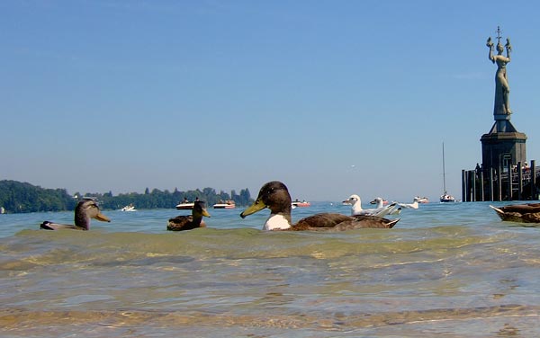 summer 2007