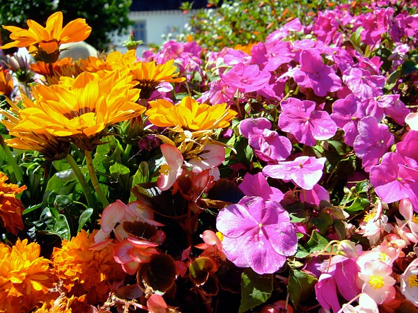 summer 2007