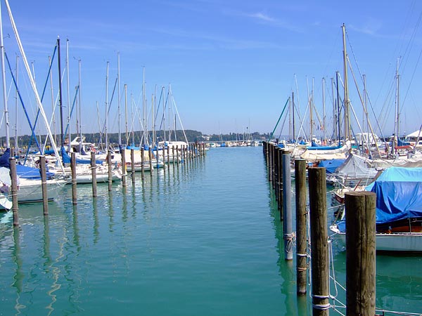 summer 2007