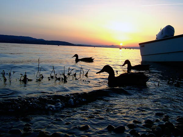 summer 2007
