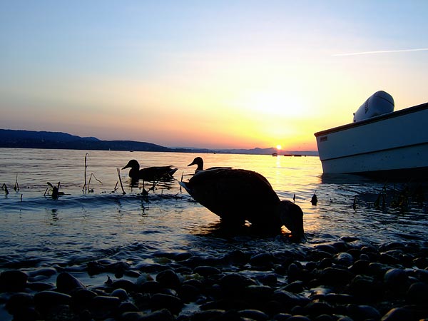 summer 2007