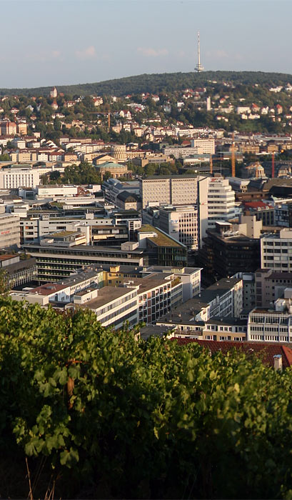 summer 2007