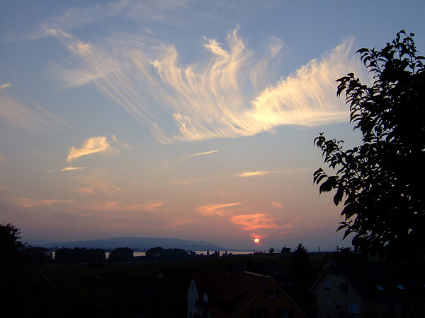 summer 2007