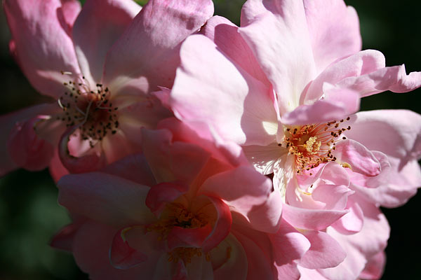 summer 2007