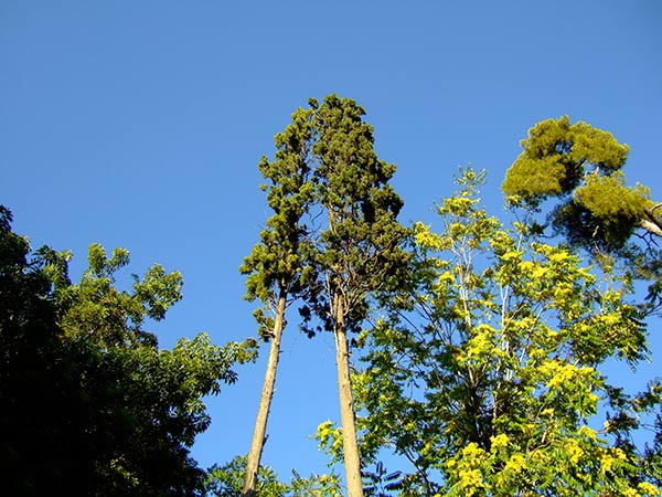 summer 2007