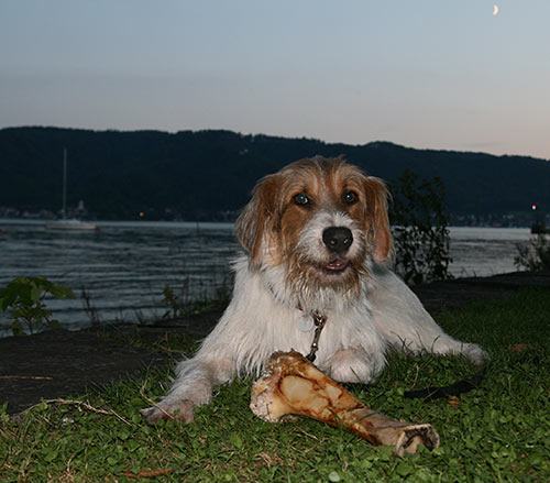 summer 2007