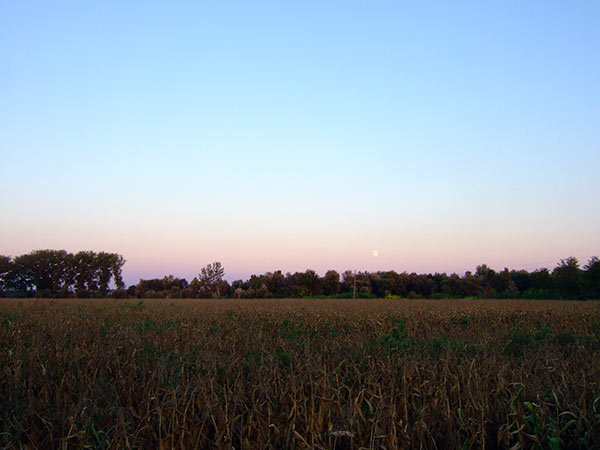 summer 2007