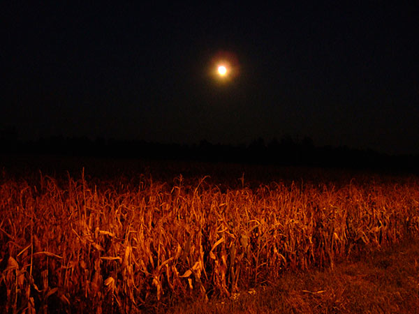 summer 2007