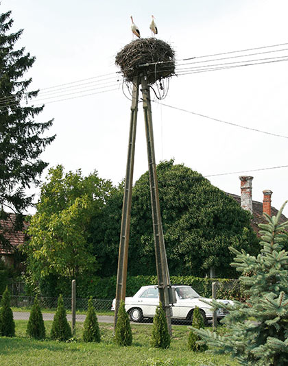 summer 2007