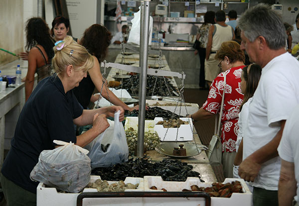 summer 2007