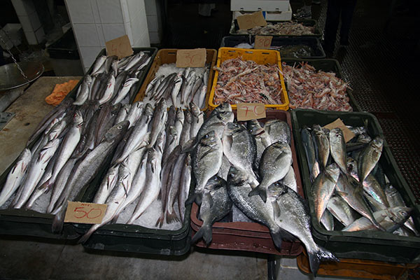 summer 2007