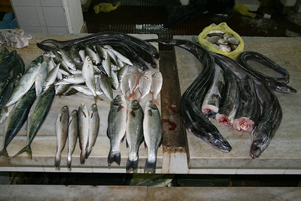 summer 2007