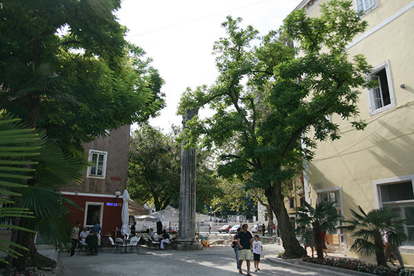 summer2007