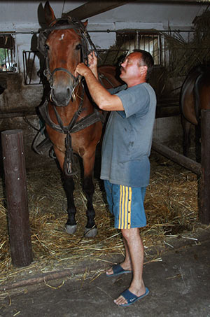 summer 2007