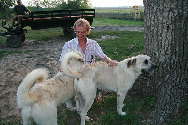 summer 2007