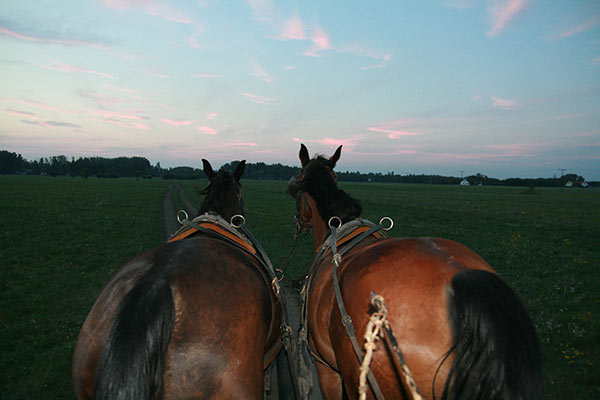 summer 2007