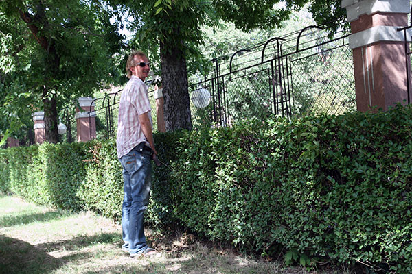 summer 2007