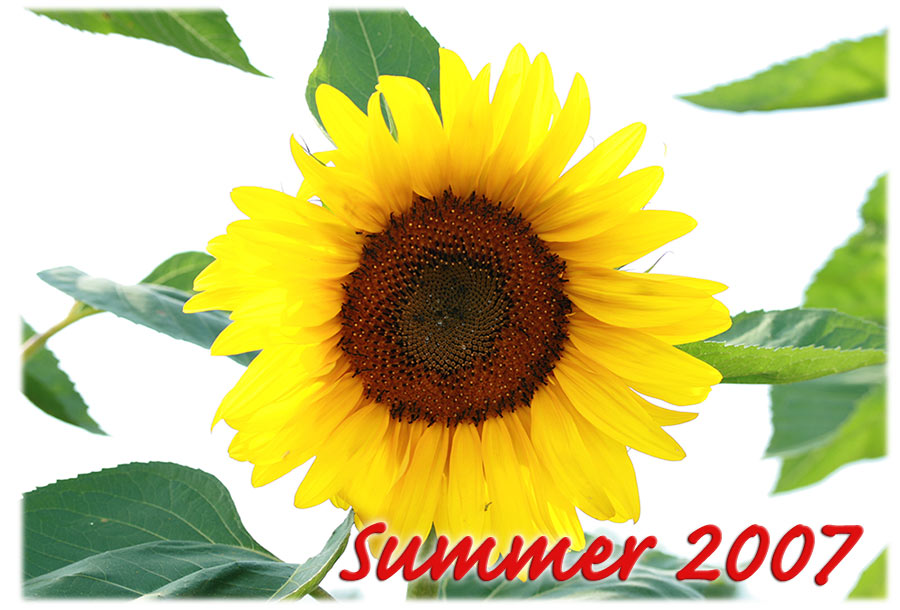 summer 2007