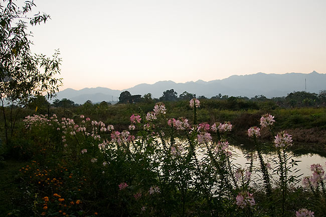 Thailand