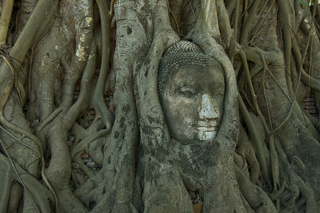 Thailand