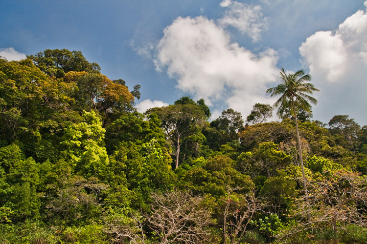 Malaysia