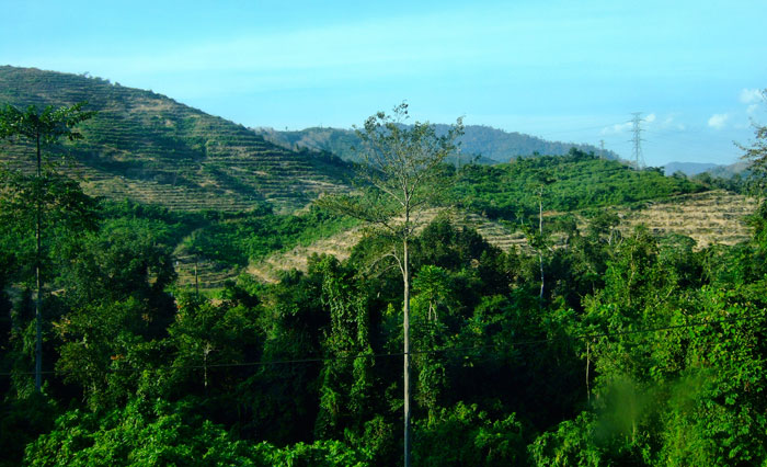 Malaysia