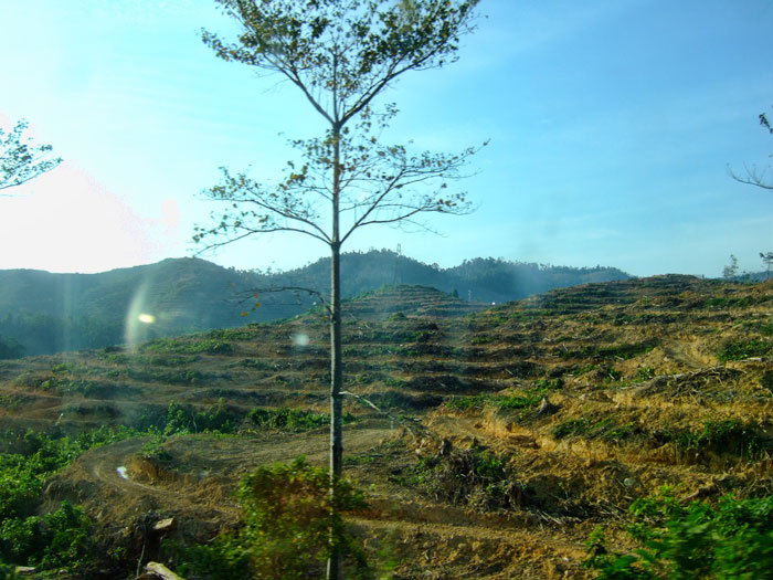 Malaysia
